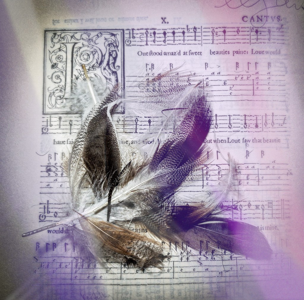 Too close to the Sun – Icarus&nbsp;transformed